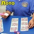 бинго
