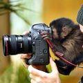 фотограф