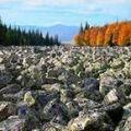 курум