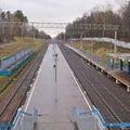 мамонтовская