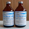 новокаин
