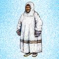 совик