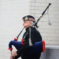 волынщик